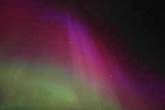 SAM_6683