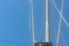 20210627_103127-Copy